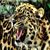 Zahir Alorad's profile image