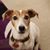 Elizabeth Menkin Benedict's profile image