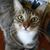Christina M Lyke's profile image