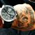 Will Barasi Valencia's profile image