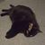 Mary Nelson's profile image