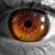 Eric Eisinger's profile image