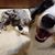 Kelli Geselle's profile image
