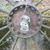 Patsy Buvoltz's profile image