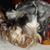 Judy Rohrman Lefler's profile image
