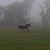 Oglesby Stables's profile image