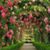 Donna McWilliams's profile image
