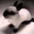 Gena Coyle's profile image