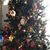 Denise Engle Armstrong's profile image
