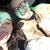 Alexa Harich's profile image