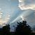 Dianne Hayes Smith's profile image