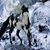 Leeann Runk's profile image