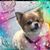 Amanda Karels's profile image