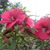 Donna Clymer's profile image