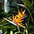Mindy Swope's profile image