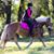 Melissa J. Groom's profile image