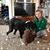 Cherie Brouwer Gilboy's profile image