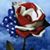 Cheryl Damschroder's profile image