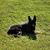 Josie's Crocheting Biegel's profile image
