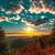 Donna Bilbrey Covington's profile image