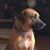 Mara E Meyer's profile image