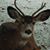 Robert Edward Lee's profile image