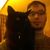 Hans Poulin's profile image