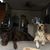Terry Witmer's profile image