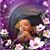David Weddig's profile image