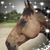 Livette Henderson's profile image