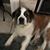 Sally Moore's profile image