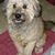 Ruth Ann Multon's profile image