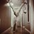 Thule Dawn Kinnison's profile image