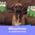 Tammy Imes Clayton's profile image