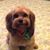 Susan Munro's profile image
