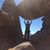 Beth Salvesen's profile image