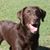 Lola Bowling's profile image