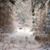 Pam Pierro Schultz's profile image