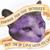 Joanne Babic's profile image