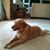 Peg Broccolino's profile image