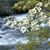 Tamara Courtney Laxton's profile image