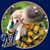 Bonnie Miller's profile image
