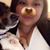 Allie Gutierrez's profile image