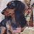 Kent Ensley's profile image