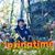 Wendy Gilliland Harrell's profile image