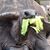 Jake Hickey's profile image