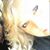 Tricia Redner Garner's profile image