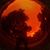 Craig Johnson's profile image