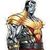 Marcel L Wetter's profile image