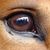 Beverly Bloom's profile image